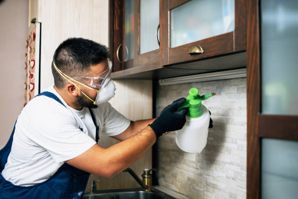 Best Exterminator Services  in Schlusser, PA