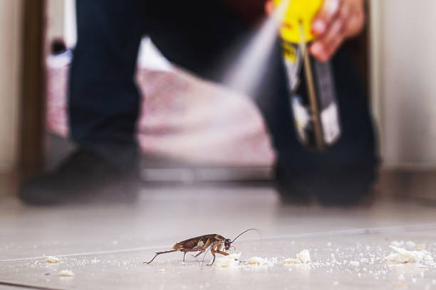 Best Best Pest Control Companies  in Schlusser, PA